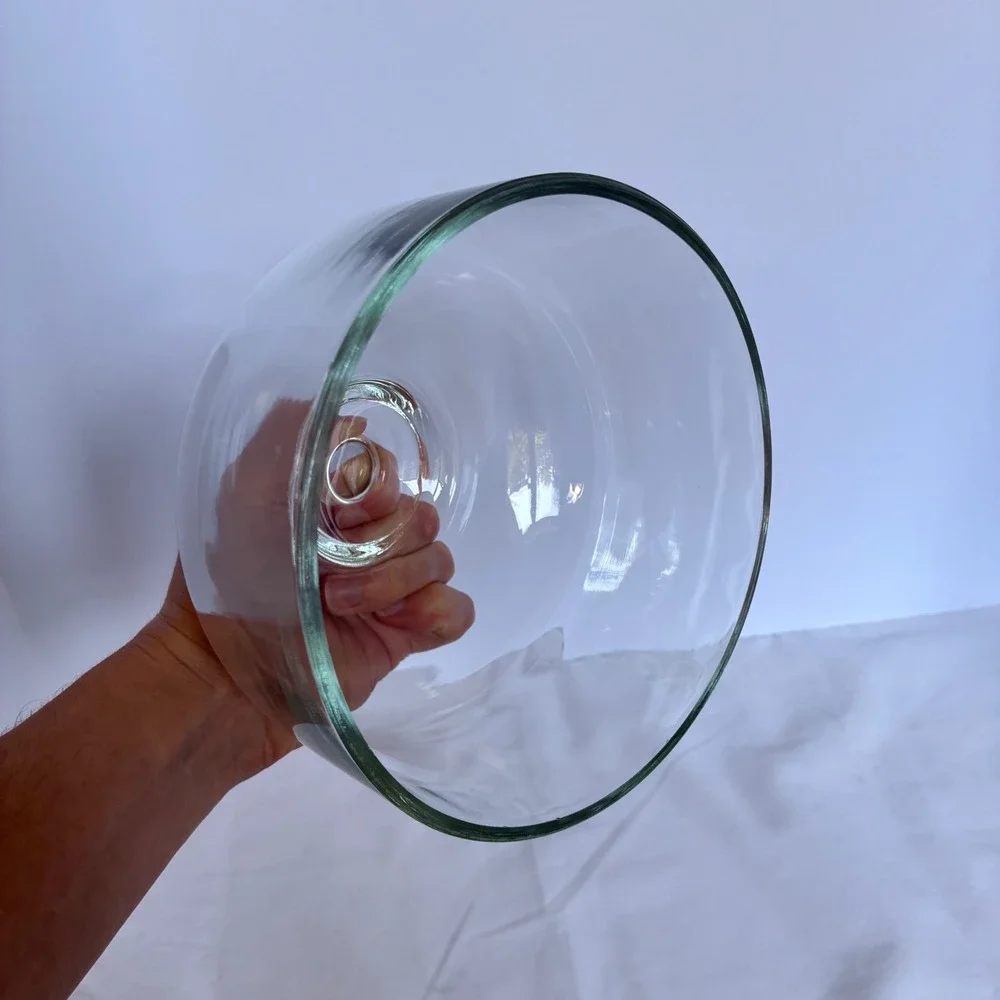 Cake Dome Glass Cloche Bell Jar Display Cover Farmhouse Cottagecore Cheese Cover